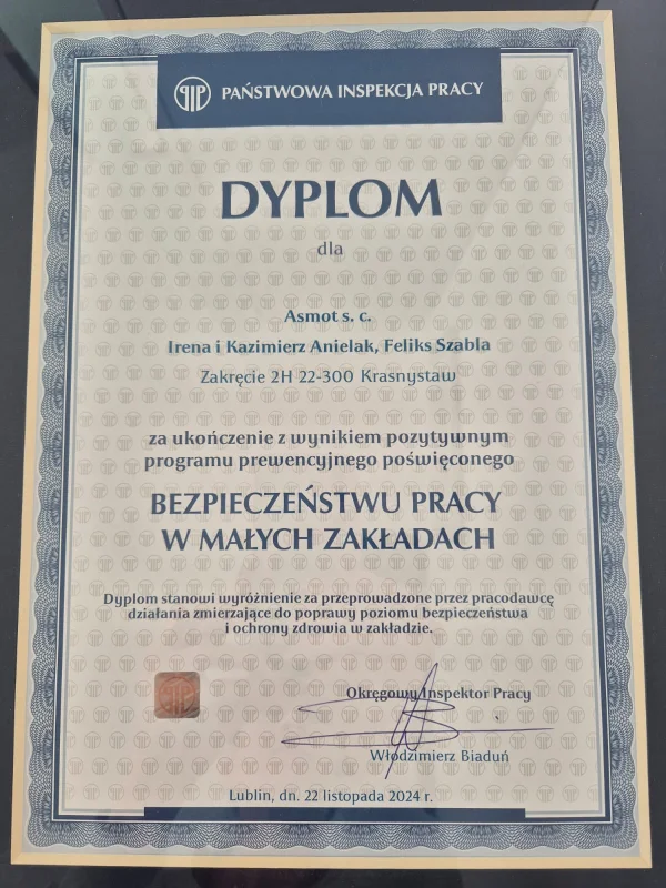 Dyplom Państwowej Inspekcji Pracy - Bezpieczeństwo Pracy